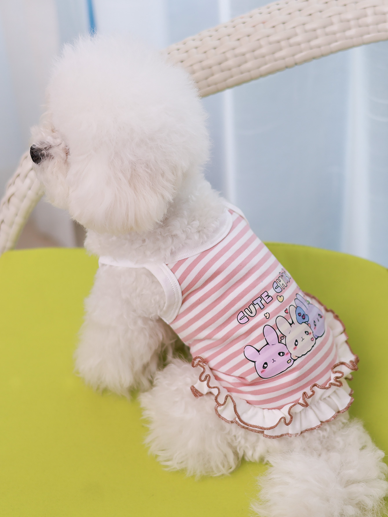 Dog vest, summer breathable th - Summer Clothing Material avis et prix