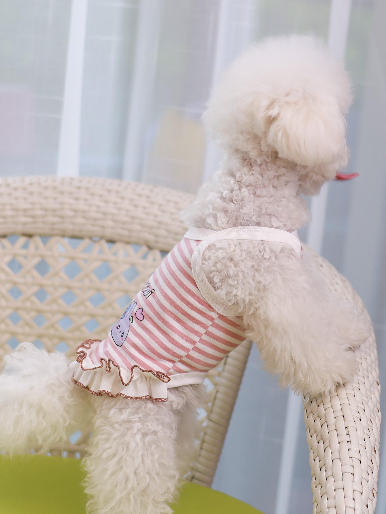 Dog vest, summer breathable th - Summer Clothing Material avis et prix