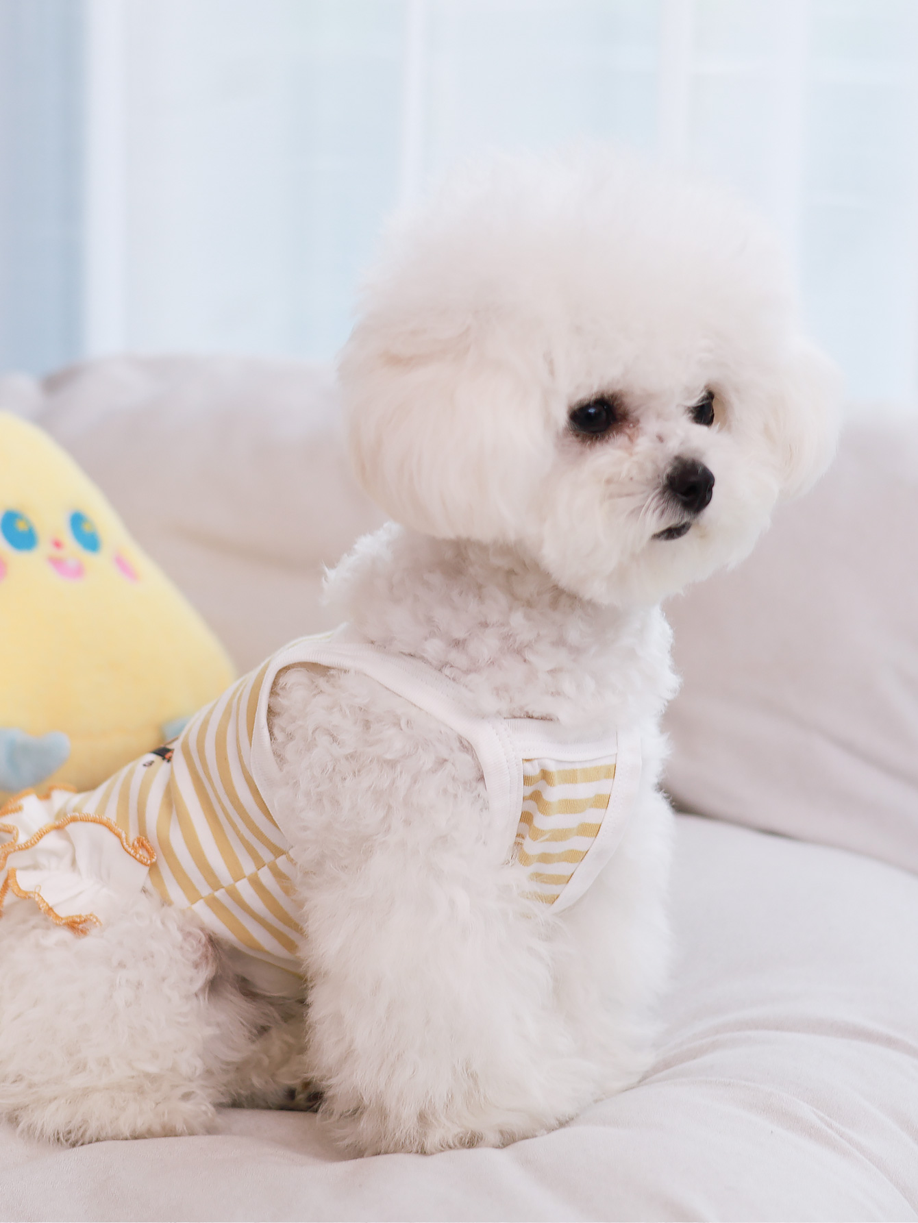 Dog vest, summer breathable th - Summer Clothing Material avis et prix
