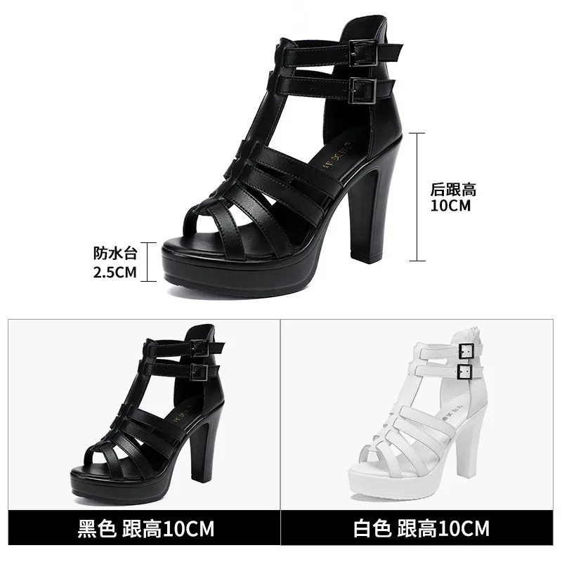 Gladiator Ladies Shoe for Wome - Summer Closet avis et prix