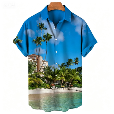 Men's Hawaiian Shirts Summer B - Summer Vacation Clothing Men avis et prix